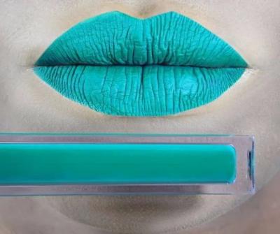China ODM Daily Long Lasting Lipstick Makeup Lip Gloss Liquid Lipstick for sale
