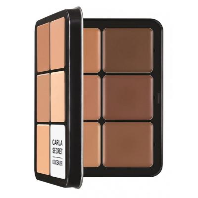 China Private Label Makeup Contour Palette Long Lasting  For Daily Makeup for sale