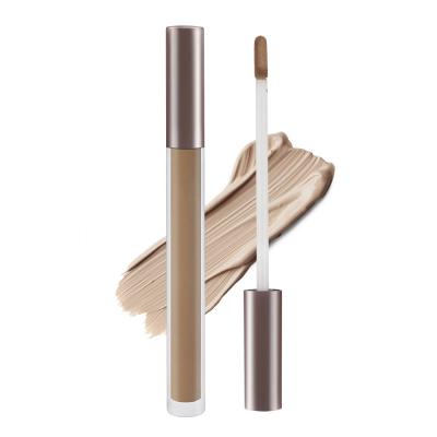 中国 日常生活の25g表面構造のConcealerの全中継のクリームConcealer 販売のため