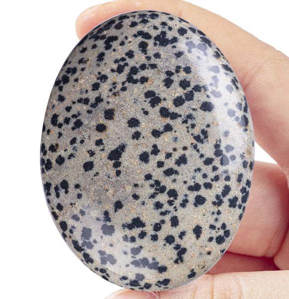 Quality Natural Polished Dalmatian Jasper Palm Stone Oval Shaped Dalmatian Crystal for sale