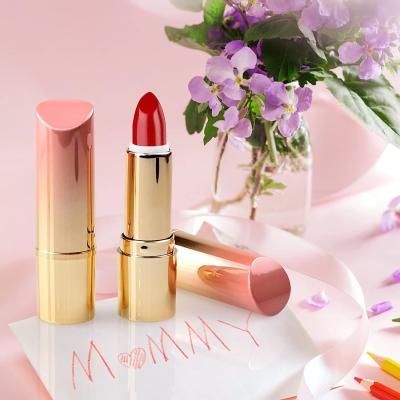 Chine Square / Round Makeup Tool Set Empty Lipstick Tube Container Customizable à vendre