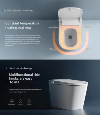 Китай туалет дистанционного управления Wc обдирки 400Mm умный с построенный в рекламе биде продается