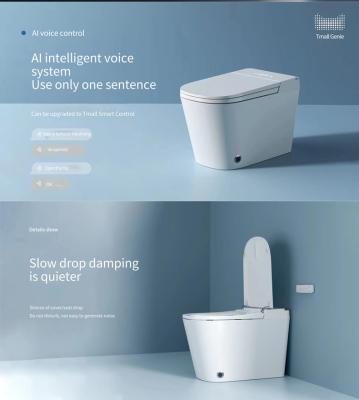China Hotel Intelligent Toilet System Floor Mounted Smart Toilet Automatic Flushing 220V for sale