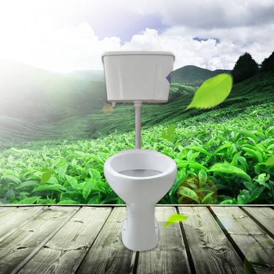 Китай Обойденный Wc смертной казни через повешение двухкусочных туалетов джакузи верхний полный разделил туалет продается