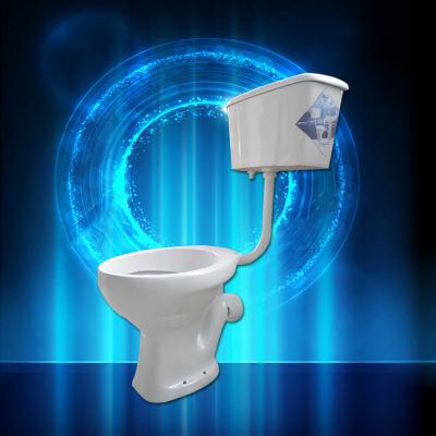 China Washdown Two Piece Toilets Bowl Hanging Wc Public Floor 180mm Pit for sale