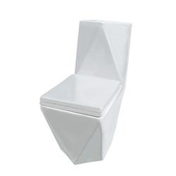 China Dual Flush Elongated One Piece Toilet Washdown With Soft-Closing Seat for sale
