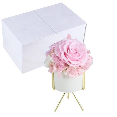 China New Arrival preserved flowers ornament luxury immortal rose gift for teacher/friend for sale