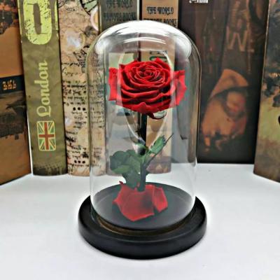 China Wholesale Rose Preserved Flower in Glass Dome Flower for Valentines Day for sale