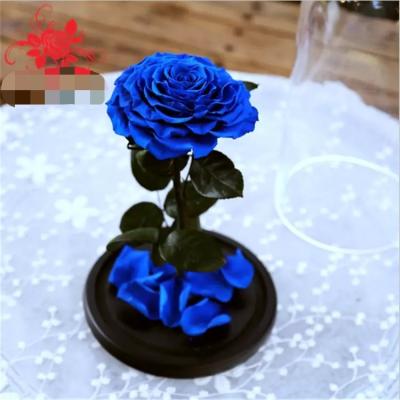 China Preserved rose in glass terrariums with base for luxury gifts for sale