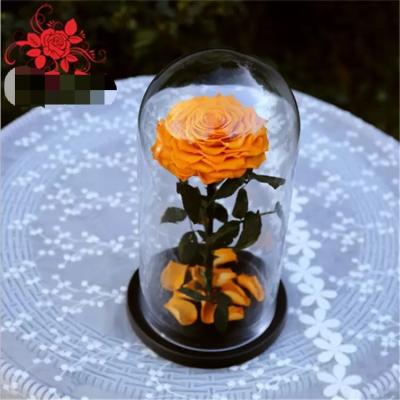 China Natural Fresh flower rose Preserved rose in glass terrariums with base for luxury gifts for sale