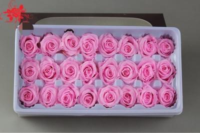 China Wholesale real preserved rose stabilized natural preserved fresh flowers for Valentines day for sale