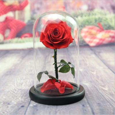 China beauty and the beast roses preserved roses in glass dome rose for lover's gift for sale