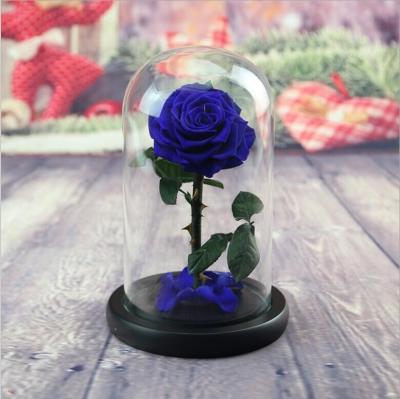China OEM Perfect Valentines Day Gifts Multiple Colours Preserved Everlasting Real Rose Flower in Glass Dome for sale