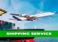 China DDU DDP International Sea Freight Forwarding Shenzhen To North America for sale