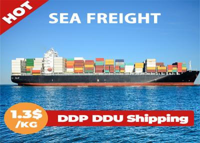 China FCL LCL International Sea Freight Forwarding , Sea Freight China To Europe for sale