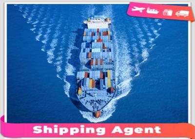 China Safe International Sea Freight Forwarding From Shenzhen To Saudi Arabia for sale