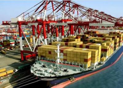 China Remetente de envio do mar de tamanho grande dos portadores DDP da carga à venda