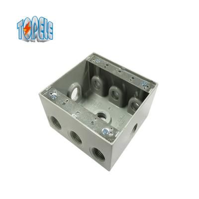 China IP65 3/4 Inch Threaded Outlets Two Gang Weatherproof Box for sale