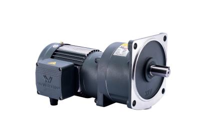 China Energy Saving Ratio 1/3 AC Gear Motor For Automation Industry for sale