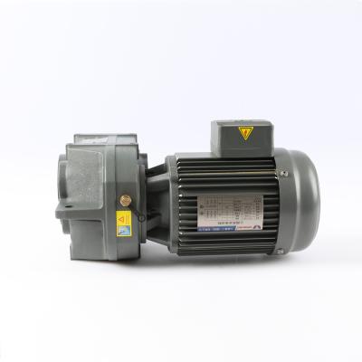 China 2 Stages 6 Pole Parallel Shaft Helical Gear Motor Lower Noise for sale