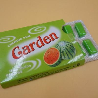 China Garden Long Shape Pop Bubble Gum Chewing Gum Kids Tasty OEM Available for sale