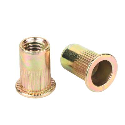 China Galvanized Flat Head Nut with Grade 4.8/8.8/10.9/12.9 Ect Knurled Vertical Rivets for sale