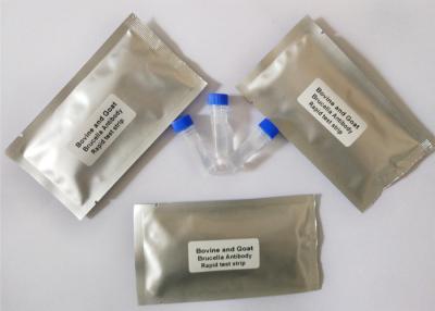 China Brucella Antibody Veterinary Test Kits Gold Colloidal Quick Detection For Cattle for sale
