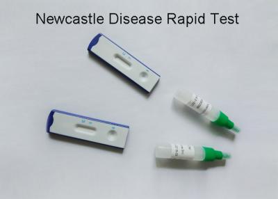 China Newcastle Disease Virus Veterinary Test Kits Visual Judgement 99% Accuracy for sale
