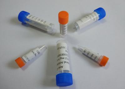 China Anti-Methamphetamine Custom Monoclonal Antibody / Animal Antibodies for sale