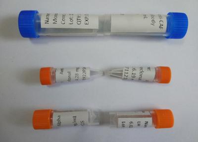 Chine Drogue d'anticorps de Monoclone d'Anti-morphine de souris d'échantillon d'urine d'abus pour la fabrication d'IVD à vendre