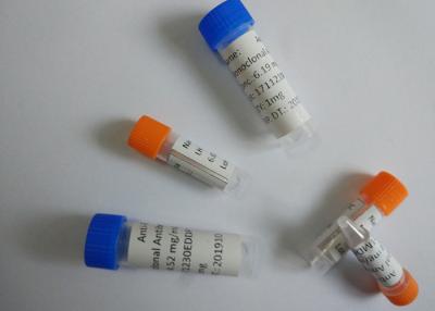 China Purified Anti-Phencyclidine Mouse Monoclonal Antibody 1995mg / month for sale