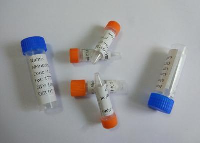 China Alto rendimiento anti - gonadotropina coriónica humana beta del anticuerpo monoclonal del ratón de HCG 7,28 mg/ml en venta