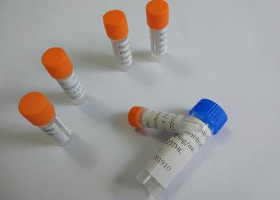 中国 乱用の浄化された反Phencyclidineマウスのモノクローナル抗体の薬剤 販売のため