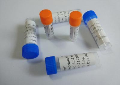 China Anti-6-MAM Mouse Monoclonal Antibody Anti-6-Monoacetylmorphine for sale
