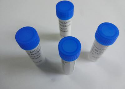China Anti-Ace Mouse Monoclonal Antibody Anti-Acetaminophen for sale