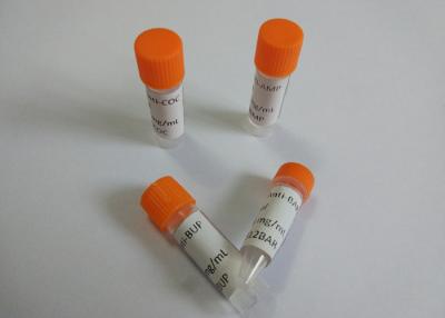 Chine Anti-MPD Anti-Methylphenidate d'anticorps monoclonal de souris à vendre