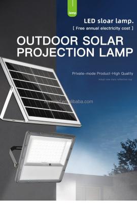 China Die Cast Aluminium Solar Flood Light Outdoor OEM ODM Dusk To Dawn Lamp With Remote for sale