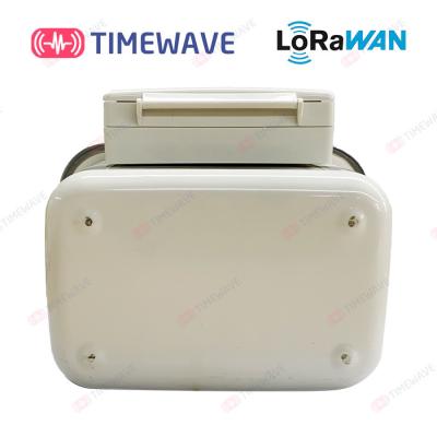 China Wireless LoRaWAN Gas Meter IoT Smart Prepaid Electricity Meters For Tenants​ Home for sale
