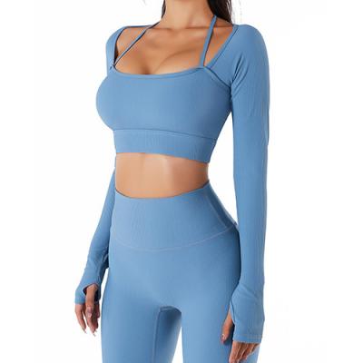 China OEM 2 Piece Woman Seamless High Waist Leggings With Long Sleeve Crop Top Yoga Set for sale