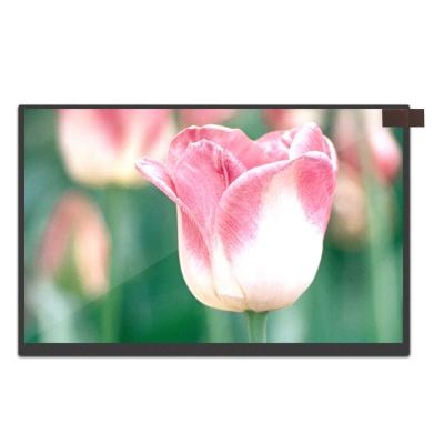 China BOE 10.1 Inch 1280x800 Laptop LCD Display for sale