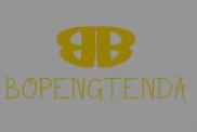 Verified China supplier - bopengtenda trade  co.,ltd