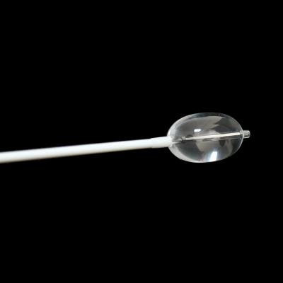 China Surface Anti Biodegradation Balloon Catheter Used For Human Dilation for sale