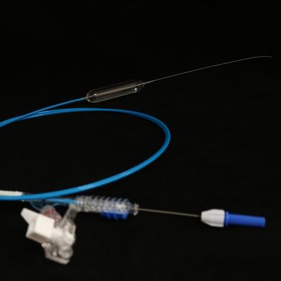 China Medical OEM&ODM Balloon Dilation Catheter For Digestive Tract CE/ISO13485 Certificatie for sale