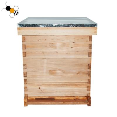 China 20mm Thickness Langstroth Beehive for sale