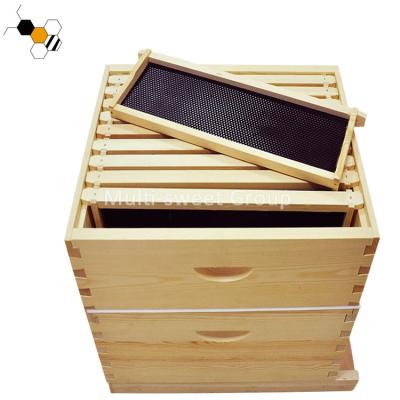 China Langstroth Beehive Kit Wholesale Bee Hive Apiculture Tools for sale