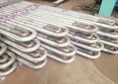 China Aço carbono/bobina de aço inoxidável do tubo do Superheater e do Reheater da caldeira do permutador de calor da caldeira à venda