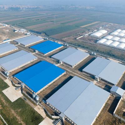 Chine Chambre en acier ignifuge gigaoctet de volaille de ferme légère de structure métallique à vendre