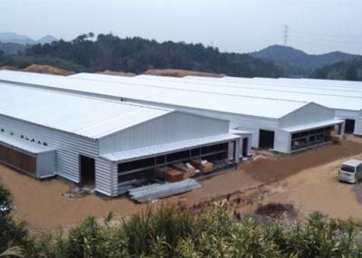 China Gallinero de pollo a prueba de viento galvanizado del marco de acero de la granja de la estructura de acero en venta
