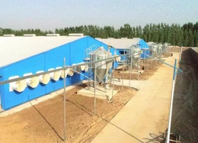 Chine Bâtiments préfabriqués ignifuges de ferme de Chambre de porc de structure métallique d'OEM/ODM à vendre