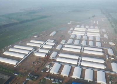 China Q355 / Q235 Steel Structure Pig House Fireproof Industrial Steel Buildings for sale